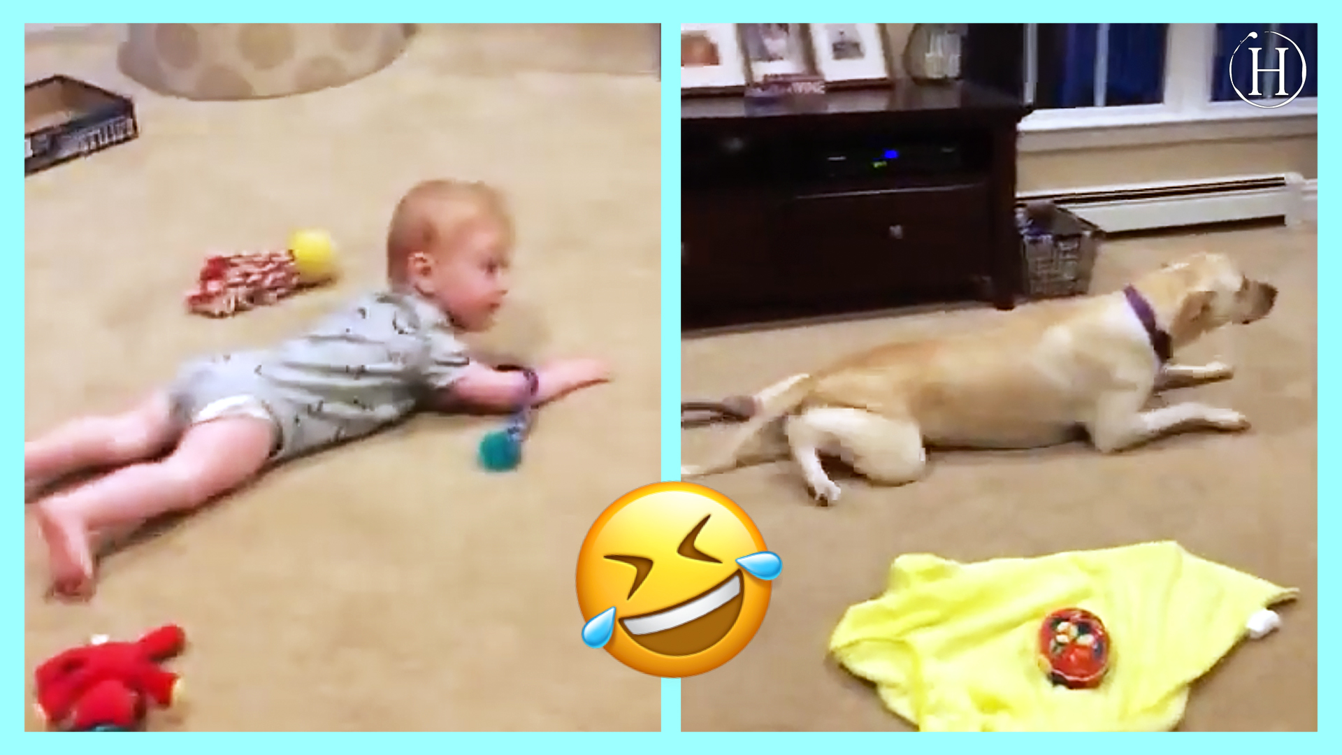 Hilarious Moment a Dog in New Jersey Teaches Baby How To Crawl | Humanity Life