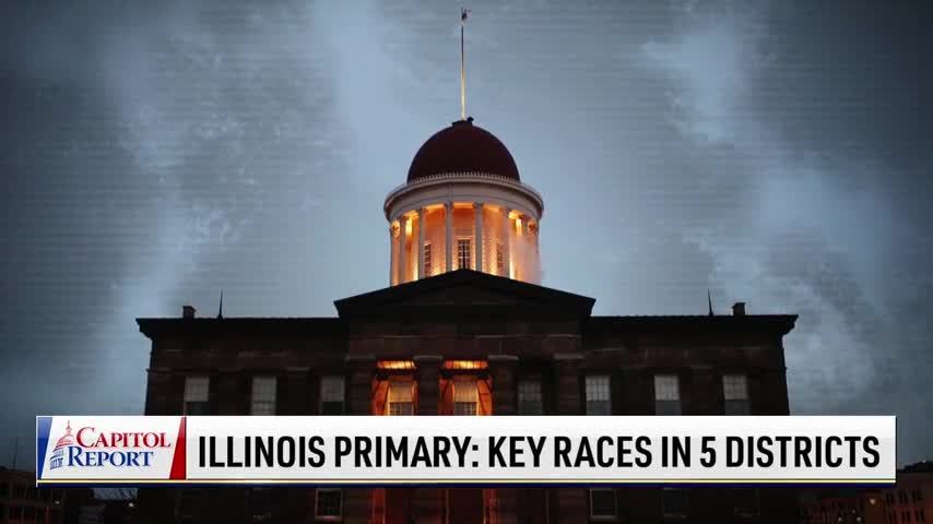 Illinois Primary: Key Races in 5 Districts