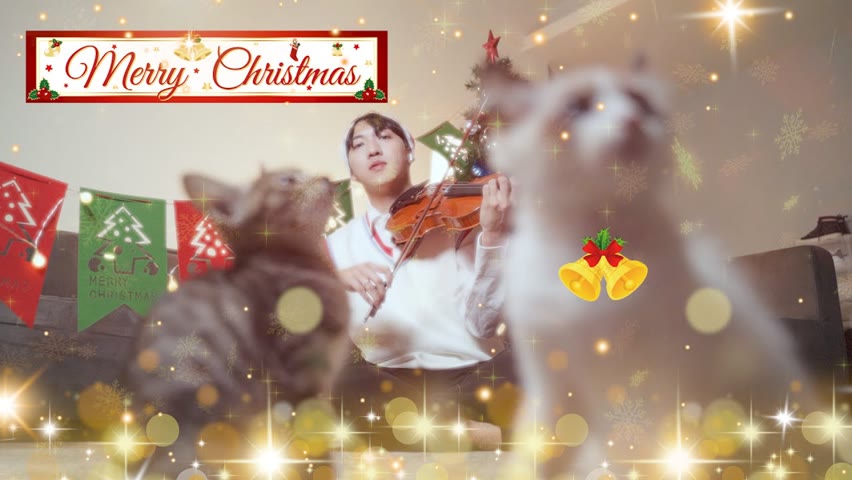Last Christmas 經典聖誕歌| Violin 小提琴【Cover by AnViolin】