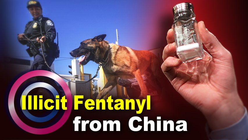 War on Drugs: How Chinese Illicit Drugs Fuel the U.S. Fentanyl Crisis