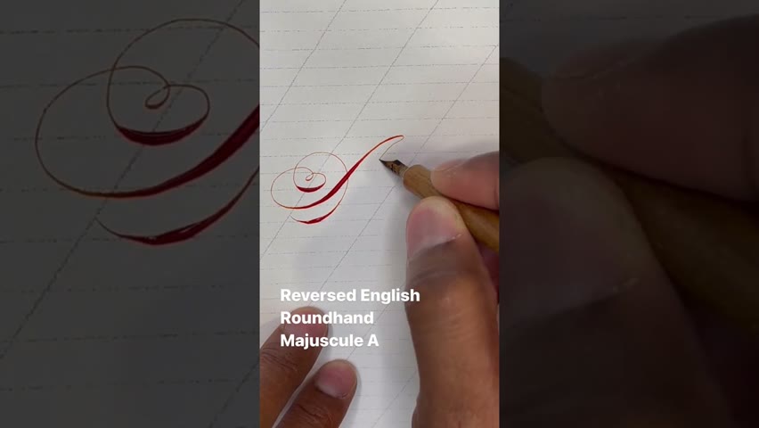 Flourished Letter A (Reversed English Roundhand Calligraphy) by Paul Antonio