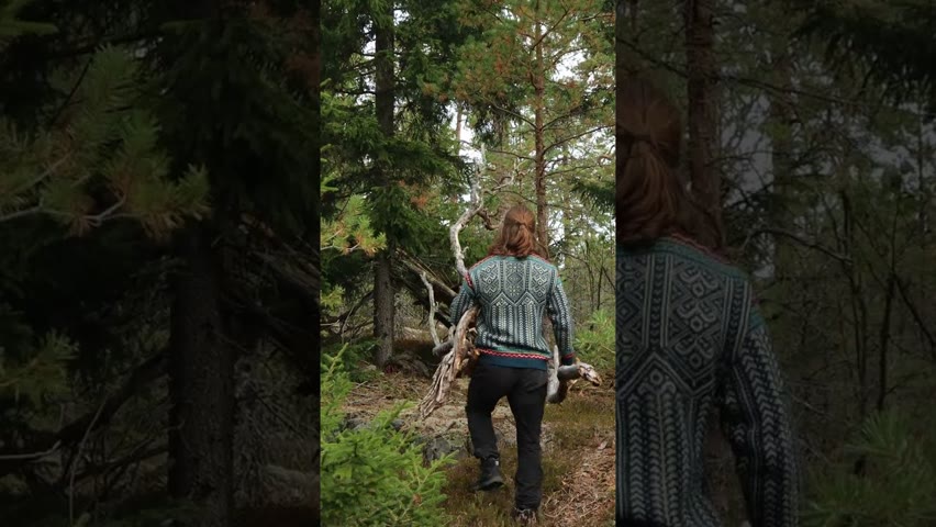 Viking Prince Builds a Secret Forest Shelter - Bushcraft #shorts