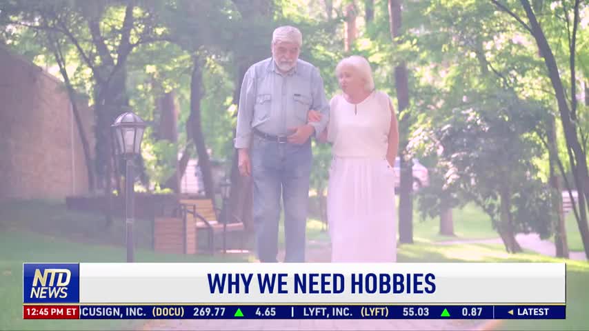 Why We Need Hobbies
