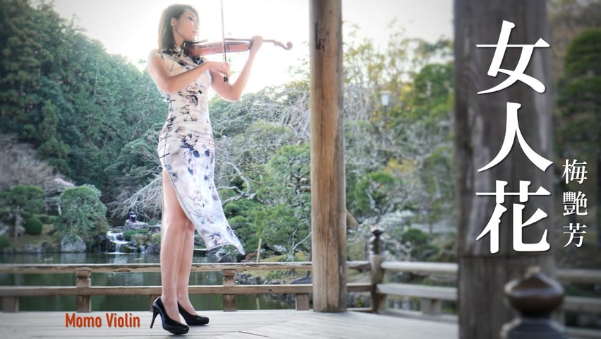 女人花 - 梅艷芳 小提琴(Violin Cover by Momo)