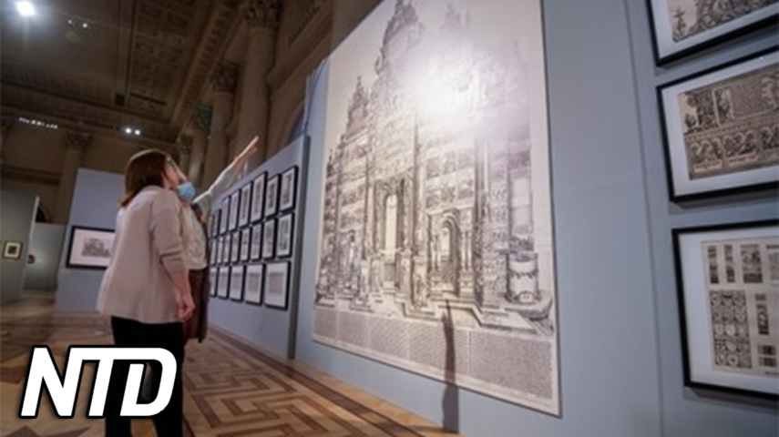 Utställning uppmärksammar Dürers 550-årsdag | NTD NYHETER