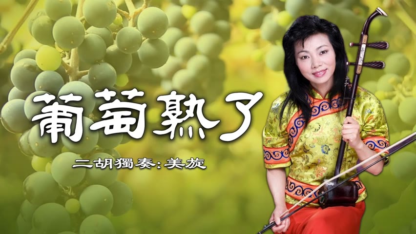 《The Grapes Are Ripe》Erhu Solo：MeiXuan     relaxing music   chines instrment erhu music 葡萄熟了/二胡獨奏：美旋