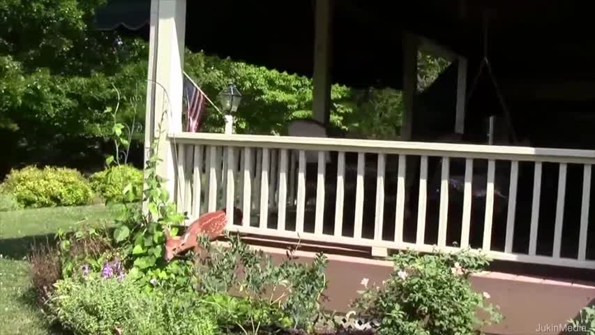 Woman Rescues Fawn Stuck in Porch Railing 