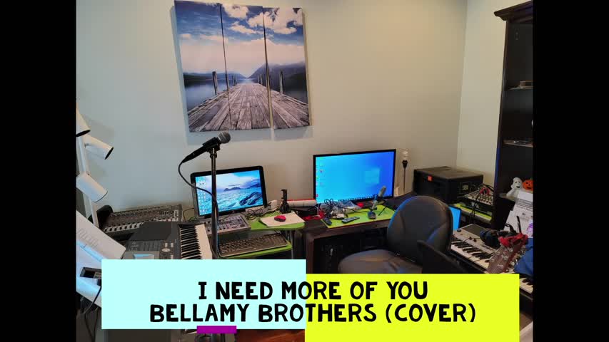 I Need More Of You - Bellamy Brothers (Cover)