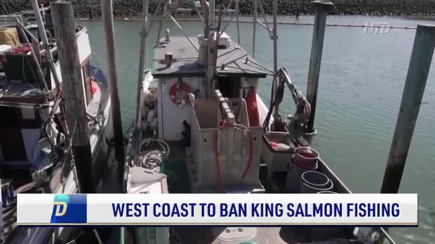 West Coast to Ban King Salmon Fishing