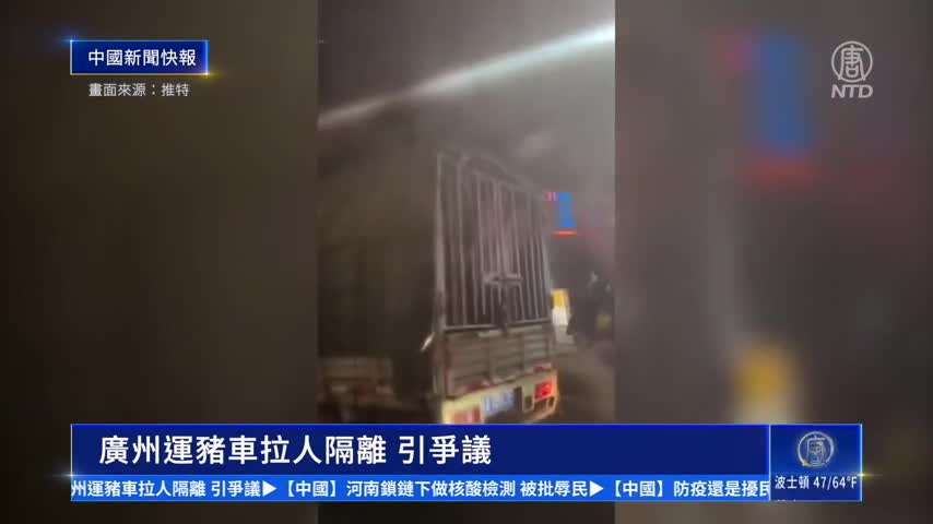 中國新聞快報：中共辱民防疫 廣州運豬車拉人隔離 河南鎖鏈下做核酸