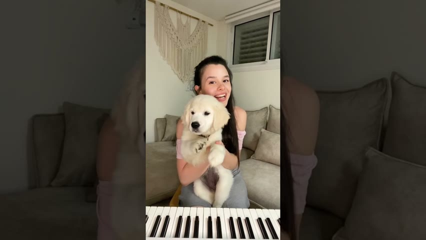 My golden puppy Zoey reacts to my playing 🥰🎹🐶 #Shorts