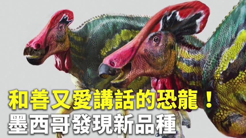 和善又愛講話的恐龍！墨西哥發現新品種 - 恐龍化石研究 - 新唐人亞太電視台