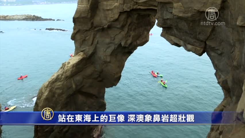 台灣也有站在海裡的巨象 更像更壯觀