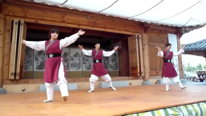 Taekkyeon...택견 공연...Korean Martial Art ..2012 전주 아시아태평양 문화 축제...전주한옥마을. Jeonju Hanok village .全州市韓屋村 (1)