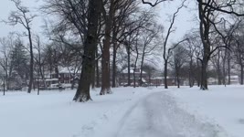 紐約凱辛娜公園（Kissena Park）美麗雪景（2020年12月16日）