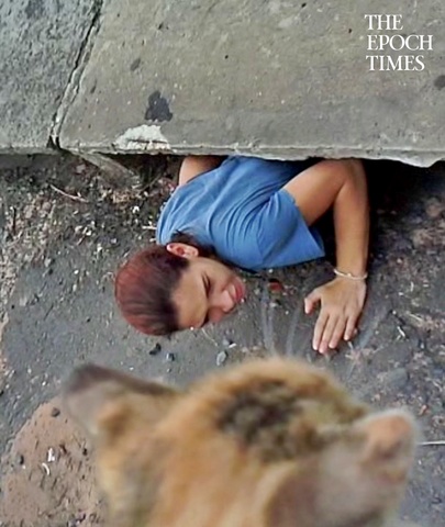 Woman Climbs Down the Storm Drain To Rescue Trapped Kitten