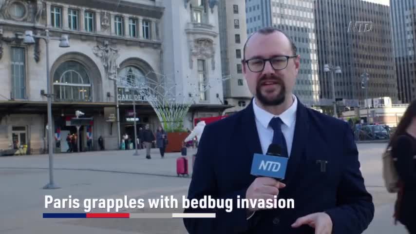 Paris Grapples With Bedbug Invasion