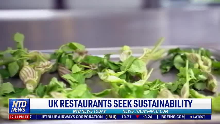 UK Restaurants Seek Sustainability