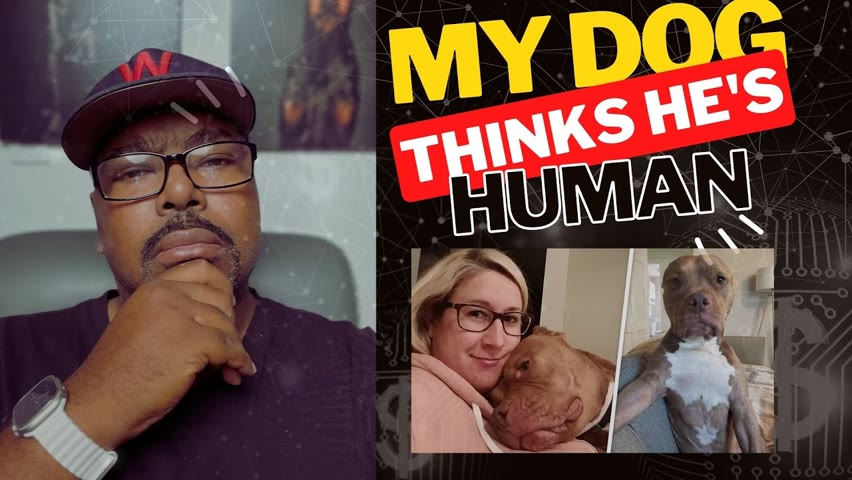 DOGUMENTARY TV REACTION: WOMAN BRINGS HOME A DOG, APPARENTLY, HE'D RATHER BE HUMAN!!!