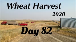 Wheat Harvest 2020 - Day 82 (8/25/20)