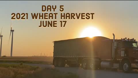 Day 5 - 2021 Wheat Harvest / June 17 (Medicine Lodge, Kansas)