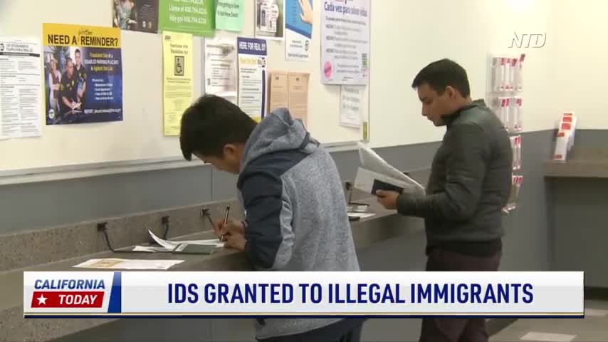 Newsom Signs Bill Allowing Illegal Immigrants to Get California State IDs