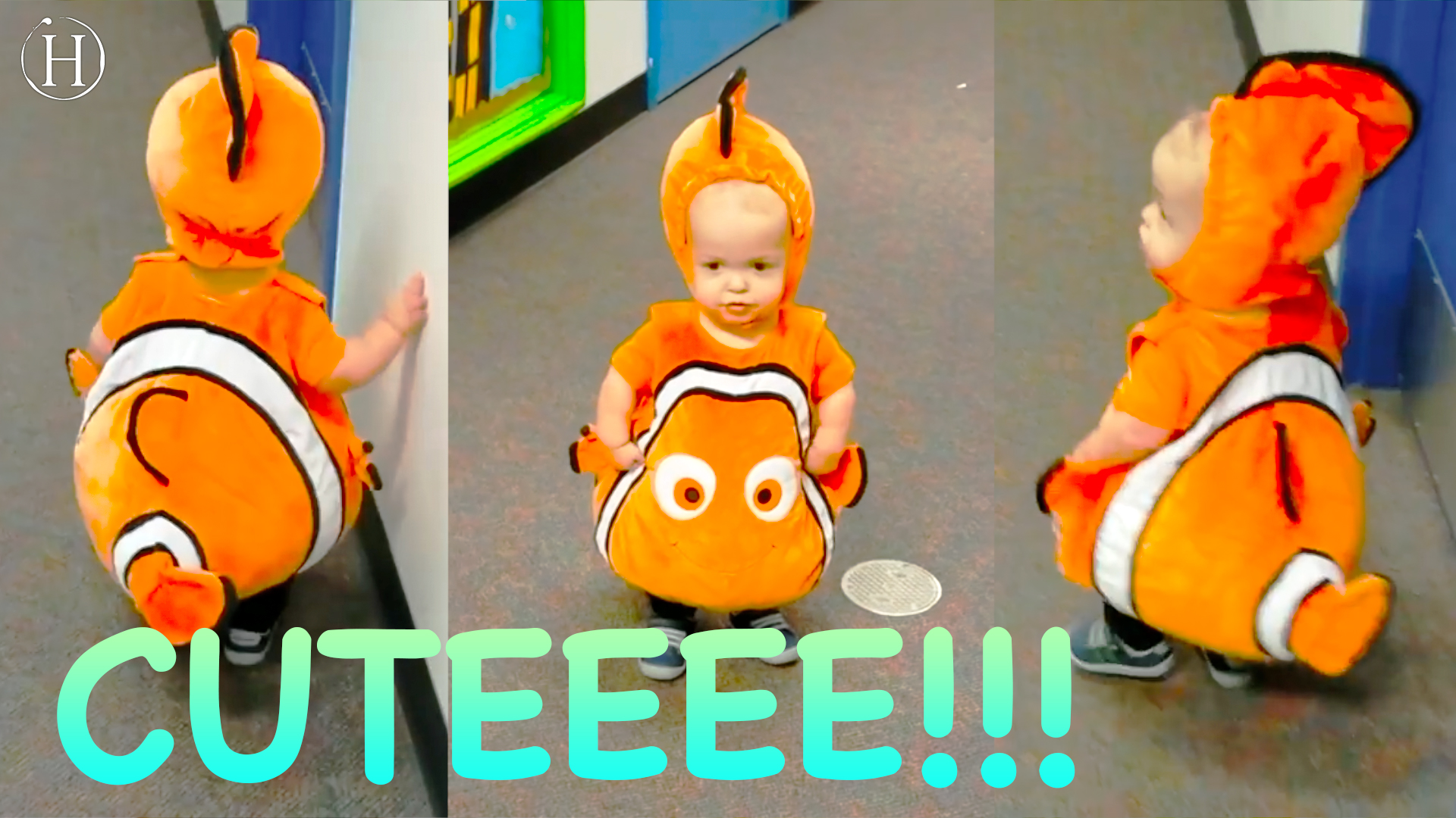 Adorable Baby Dressed As Clown Fish | Humanity Life