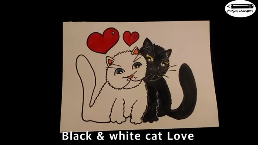 2021-05-20_Black white cat love