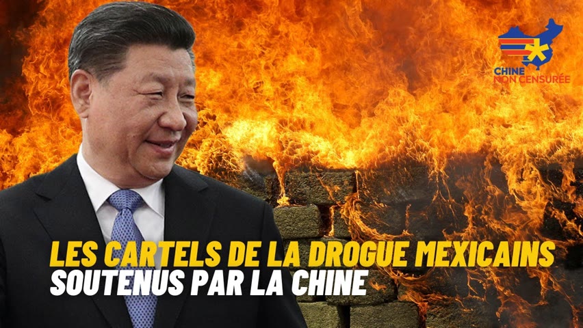 [VF] Les cartels de la drogue chinois infiltrent le Mexique