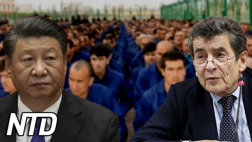 Tribunal: Kina begår folkmord på uigurer | NTD NYHETER