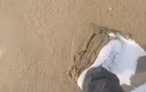 Bizarrely Satisfying—Layer of Sand Scratched From FRESH SNOW at UK Beach