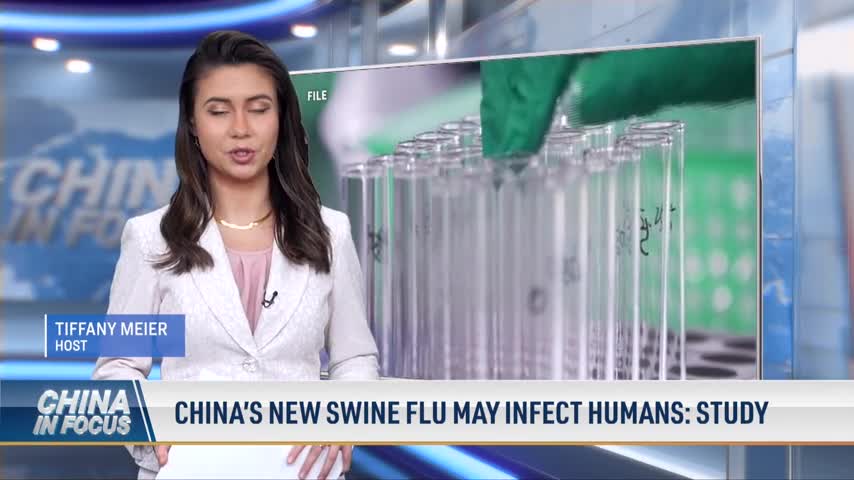 V1_O-Tiff-China-swine-flu