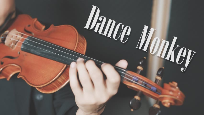 Tones and I《Dance Monkey》| Violin【Cover by AnViolin】