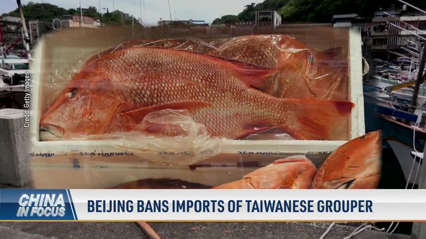 Beijing Bans Imports of Taiwanese Grouper