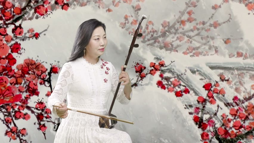A True story in China/ 中原敘事/Thanks  USA for  My  Freedom/ ErHu  solo:  MeiXuan  /Chinese Music/美旋 二胡