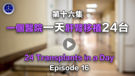 【鐵證如山系列講座】第16集 一個醫院一天肝腎移植24台   Episode 16   24 Transplants in a Day