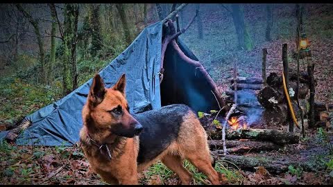 OVERNIGHT BUSHCRAFT CAMP WITH MY DOG, TARP SHELTER, WOOL BLANKET, FIRE REFLECTOR, WILD CAMPING