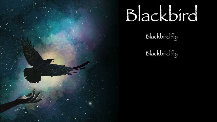 Blackbird | The Beatles | Acoustic Cover (with lyrics)