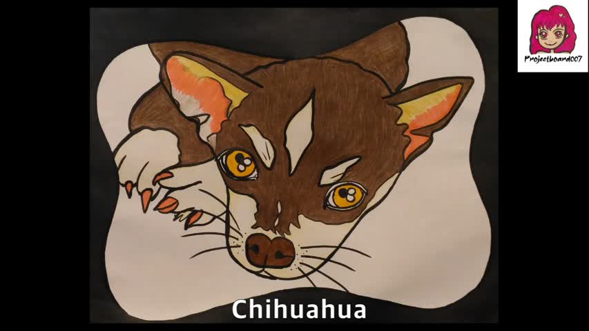2021-10-25_Chihuahua