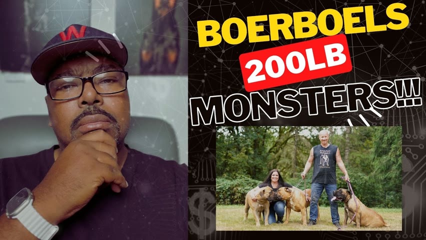 DOGUMENTARY TV REACTION: THE 200 LB WORKING BOERBOEL?!!!