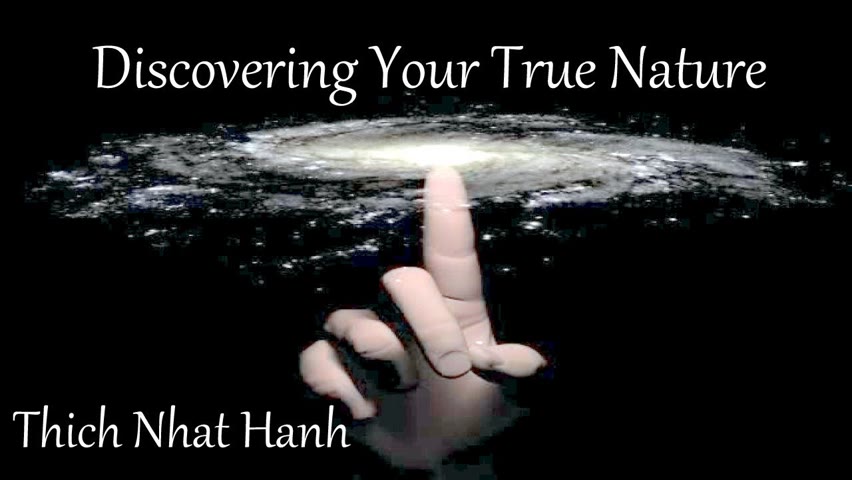 Thick Nhat Hanh ~ Discovering Your True Nature