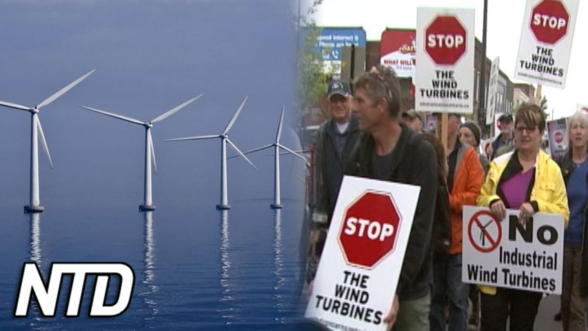 Franska fiskare protesterar mot vindkraftsparker till havs | NTD NYHETER