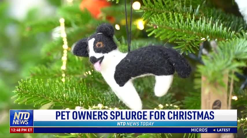 Pet Owners Splurge for Christmas