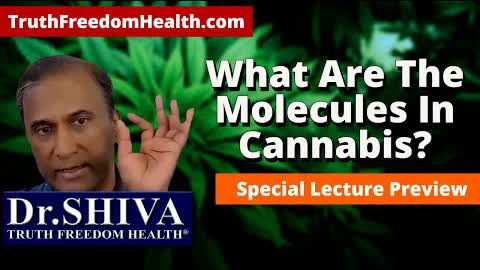Dr.SHIVA: What Are The Molecules In Cannabis - Special Lecture Preview