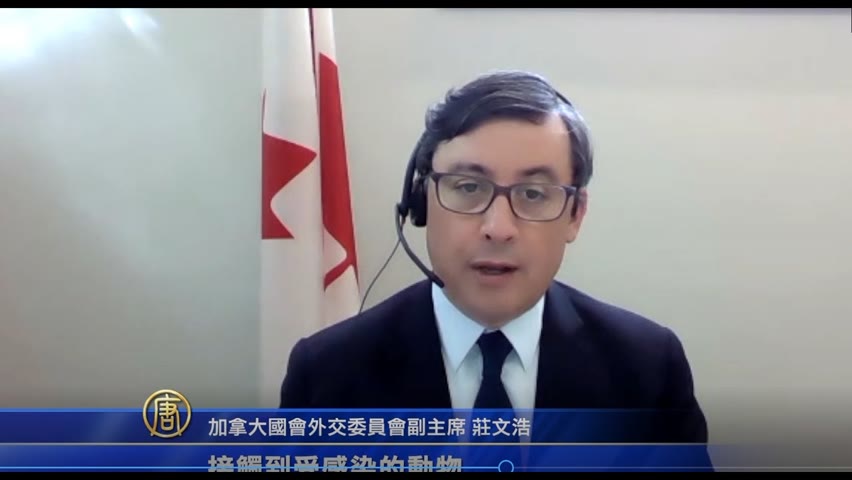 加拿大國會外交委員會副主席 莊文浩答記者問
