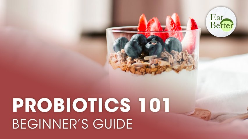 Probiotics 101: A Simple Beginner’s Guide