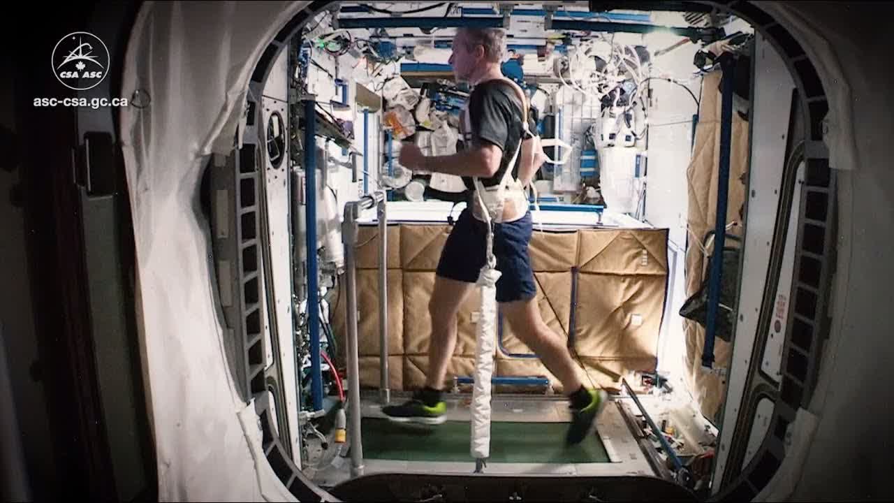 Physical activity in space