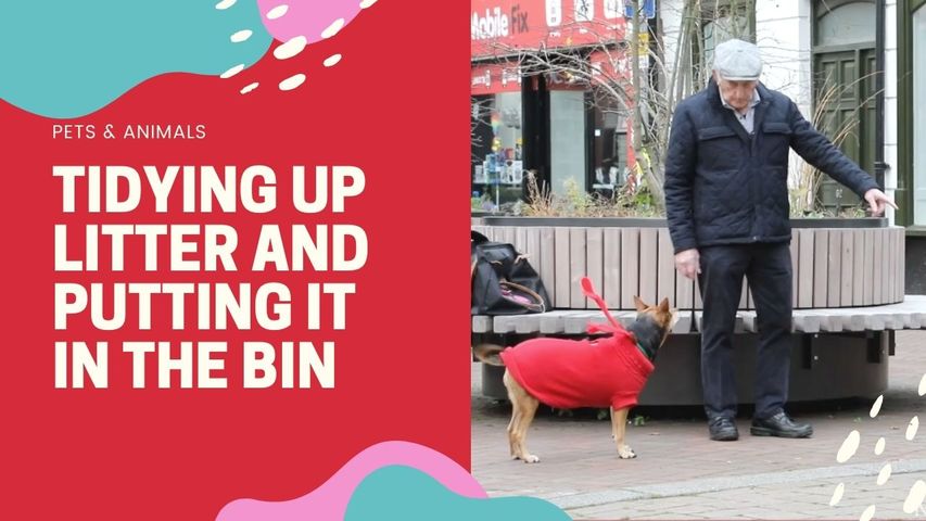 Clever Dog Amazes Shoppers by Going Around Tidying Up Litter and Putting It in the Bin