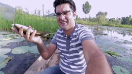 Catching the biggest fish in Dal Lake