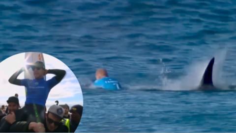 As Surfing Champion Mick Fanning Announces Retirement, Media Recall His Famed Shark Encounters